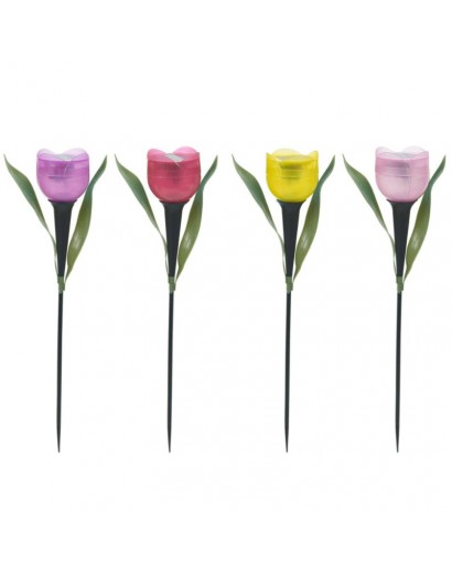 6 Garden Tulip Flower Shape...